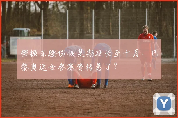 樊振东腰伤恢复期延长至十月,巴黎奥运会参赛资格悬了?
